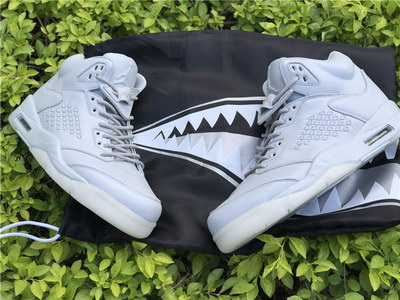 Air Jordan 5 Pure Platinum