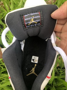 Air Jordan 11 “Platinum Tint”