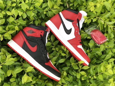 Air jordan 1 “Homage To Home” (women)