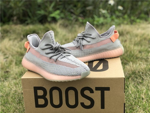ad*s Y**zy boost 350 v2 true form
