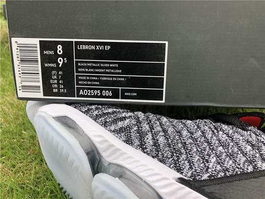 Authentci Lebron XVI LMTD EP-004