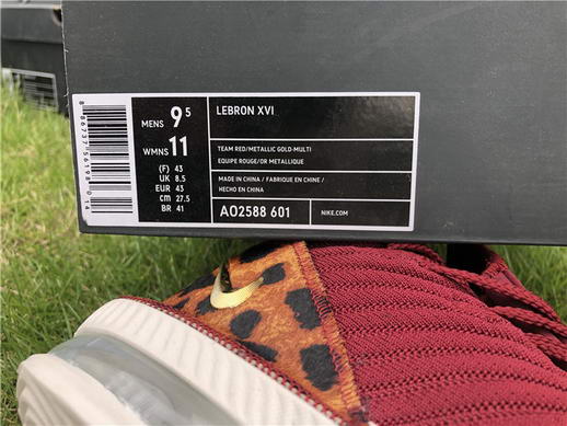 Authentci Lebron XVI LMTD EP-008