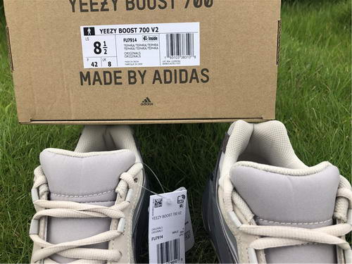 Authentic Adidas Yeezy 700 Tephra