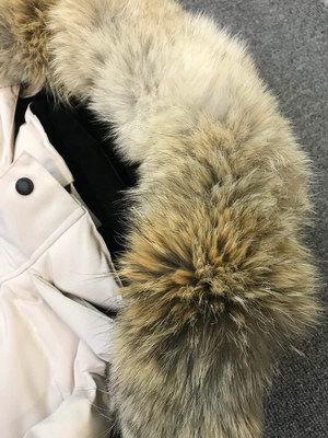 Canada Goose Coat-100