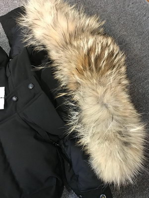 Canada Goose Coat-150