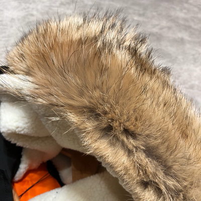Canada Goose Coat-161