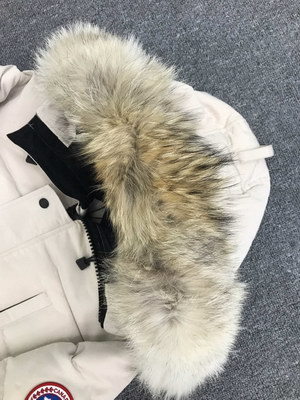 Canada Goose Coat-155