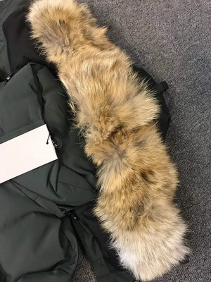 Canada Goose Coat-153