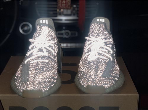 authentic ad*s Y**zy 350 tailgate-001