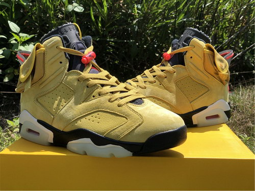 Air Jordan 6 x TS