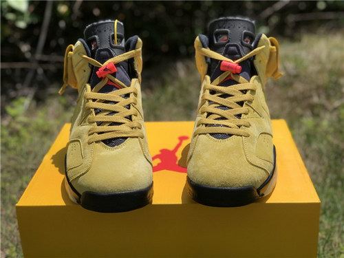 Air Jordan 6 x TS