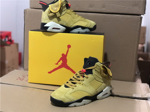 Air Jordan 6 x TS