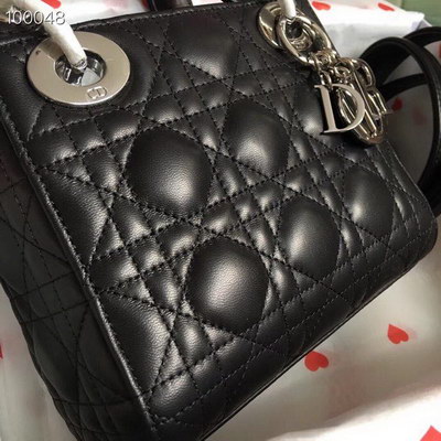 Dior Handbags AAAA(Women)-036