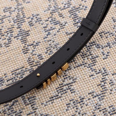 Dior Belts Women(AAAAA)-009