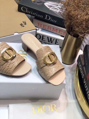 Dior Slippers Women(AAAA)-022