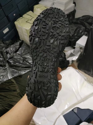 Dior Shoes(AAA)-181
