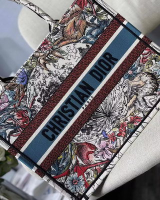 Dior Handbags AAAA(Women)-085