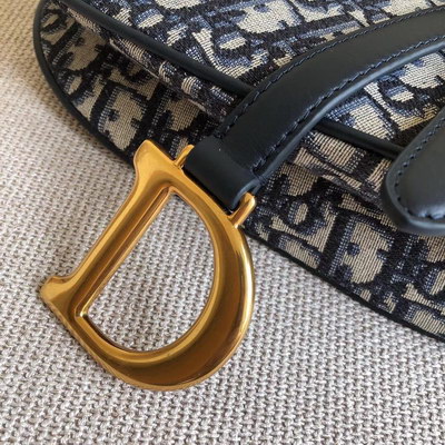 Dior Handbags AAAA(Women)-096