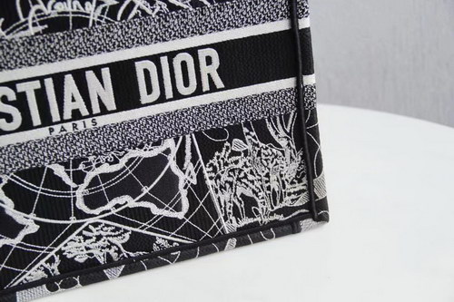 Dior Handbags AAAA(Women)-069