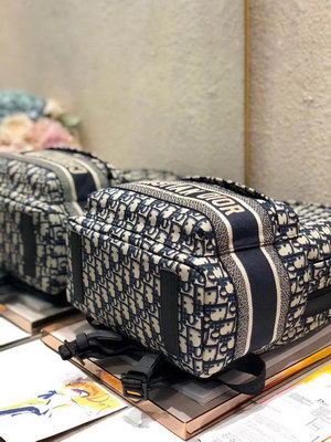 Dior Backpack(AAAA)-006