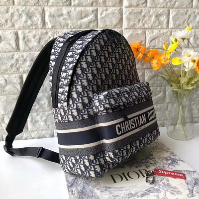 Dior Backpack(AAAA)-005