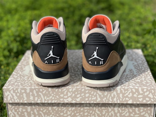 Air Jordan 3 “Desert Elephant”