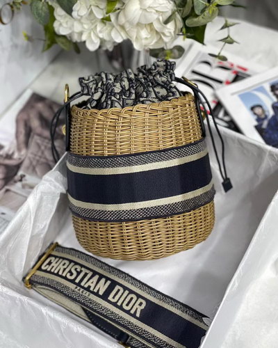 Dior Handbags AAAA(Women)-099
