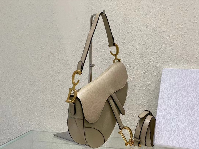 Dior Handbags AAAA(Women)-118