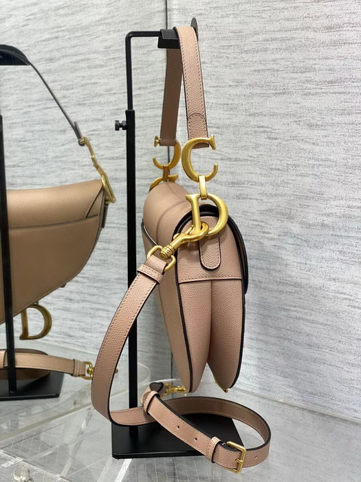 Dior Handbags AAAA(Women)-119