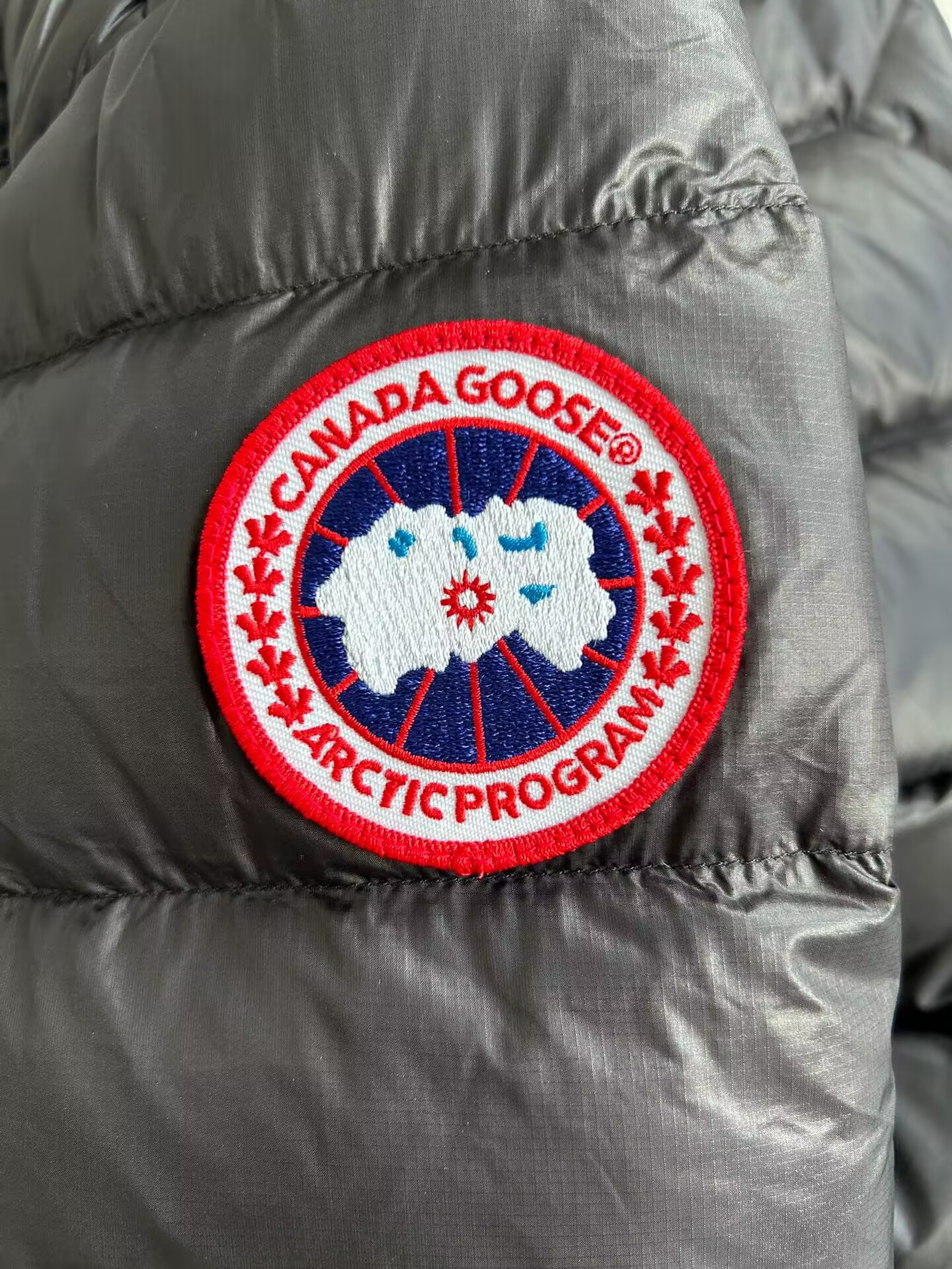 Canada Goose Coat-258