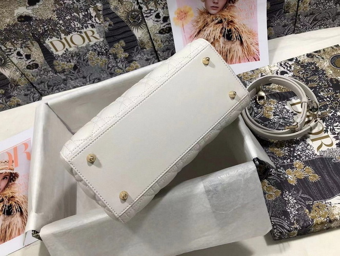 Dior Handbags AAA(Women)-229