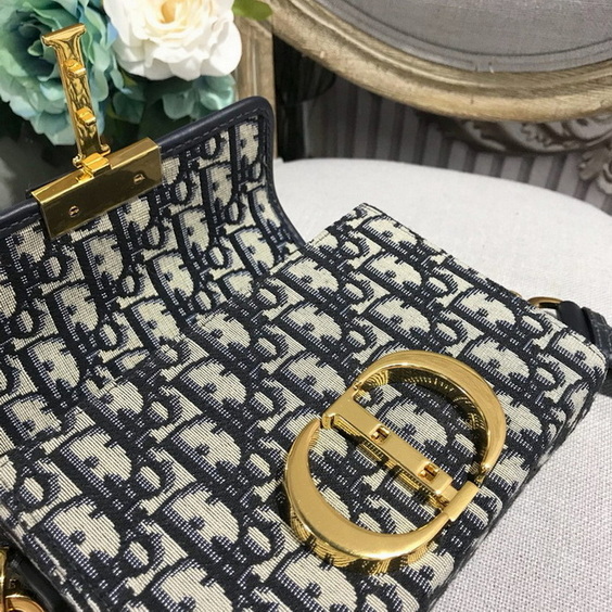 D*or handbags aaa(women)-373