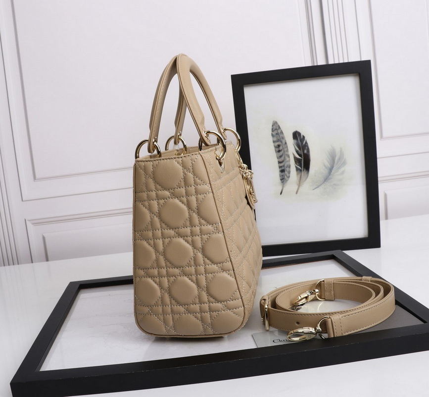 Dior Handbags AAA(Women)-470