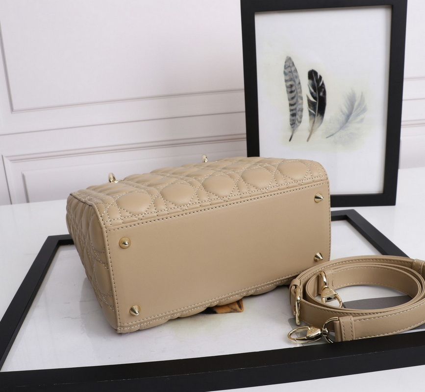 Dior Handbags AAA(Women)-470