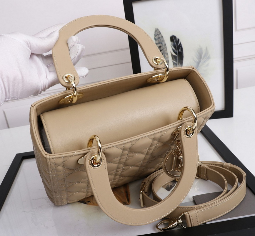 Dior Handbags AAA(Women)-470