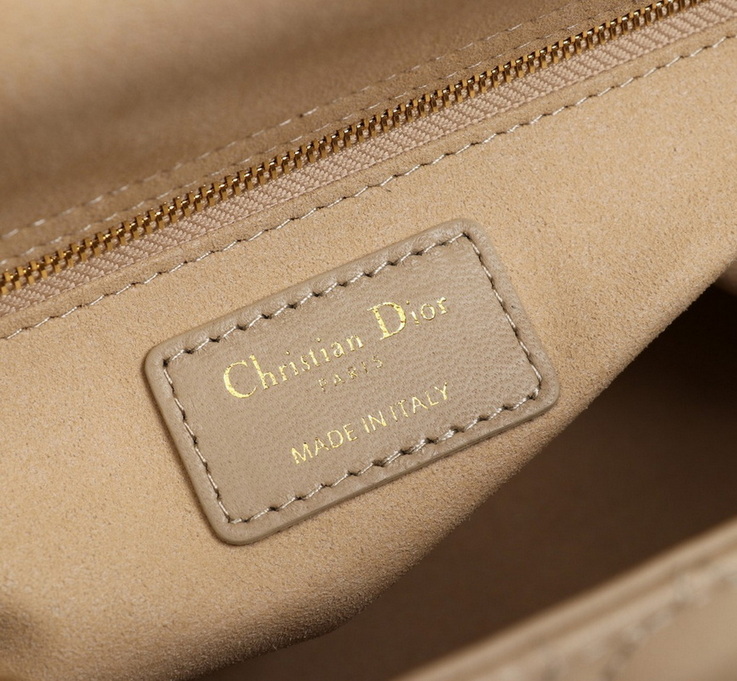 Dior Handbags AAA(Women)-470