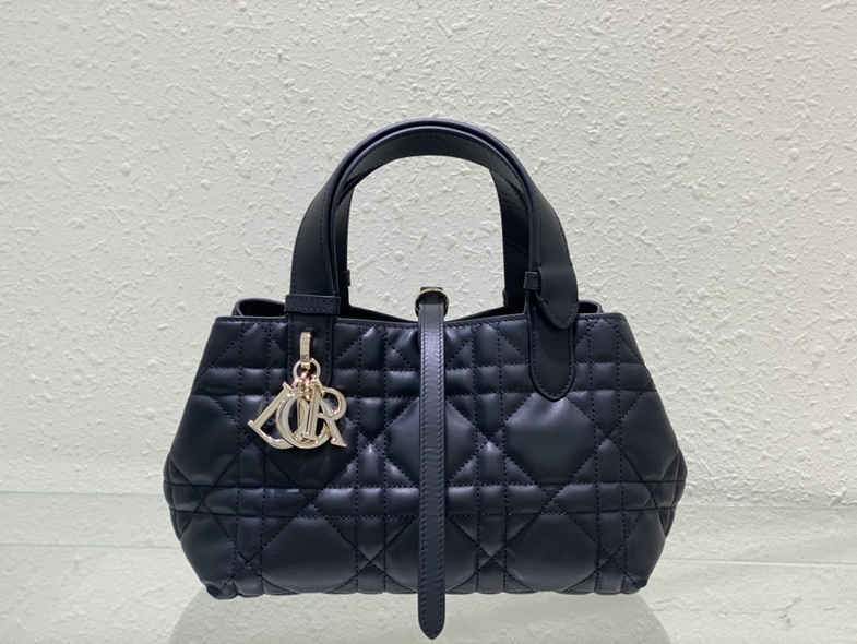 Dior Handbags AAA(Women)-162