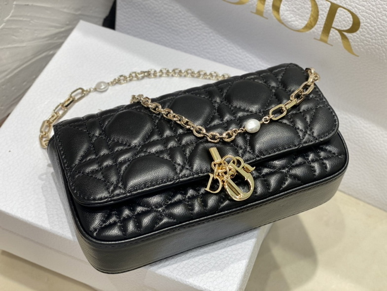 Dior Handbags AAA(Women)-169
