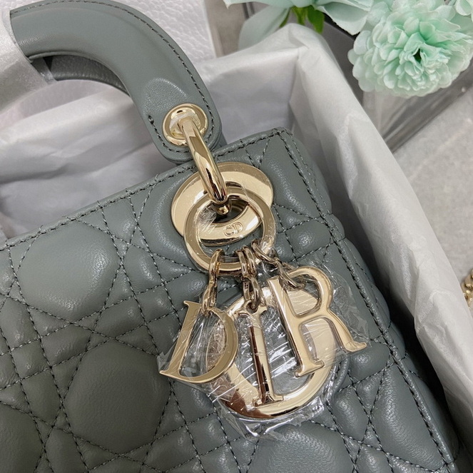 Dior Handbags AAA(Women)-129