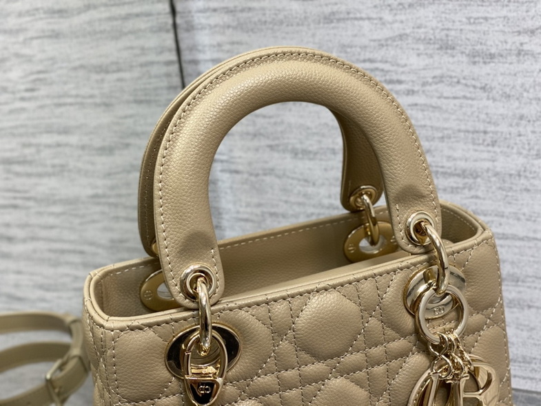Dior Handbags AAA(Women)-189