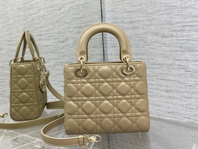 Dior Handbags AAA(Women)-189