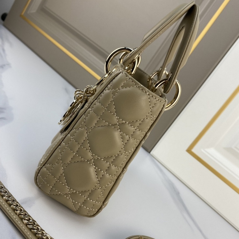 Dior Handbags AAA(Women)-191