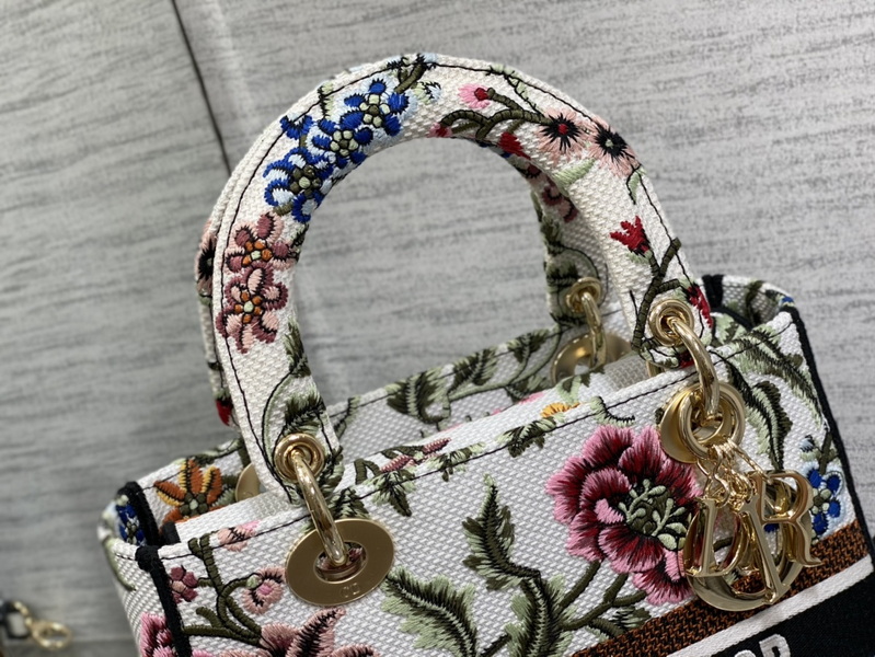 Dior Handbags AAA(Women)-479