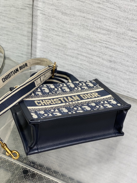 Dior Handbags AAA(Women)-480