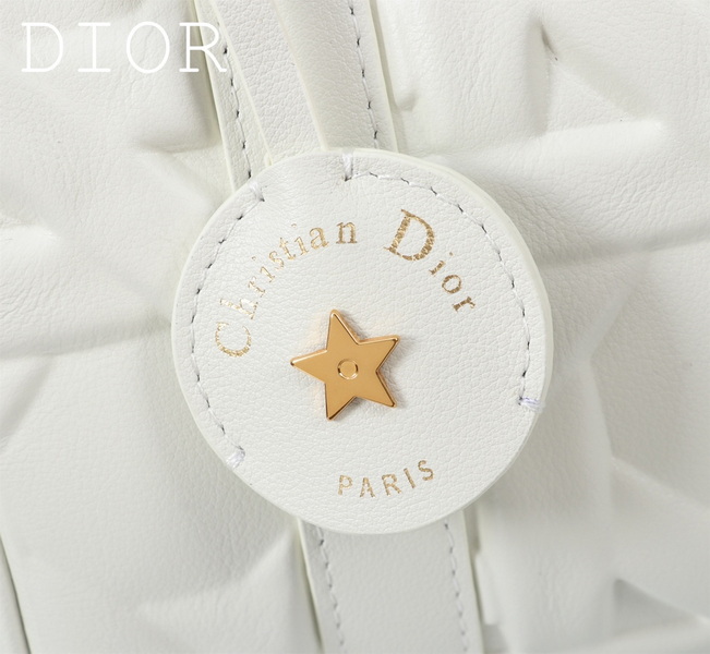 Dior Handbags AAA(Women)-487