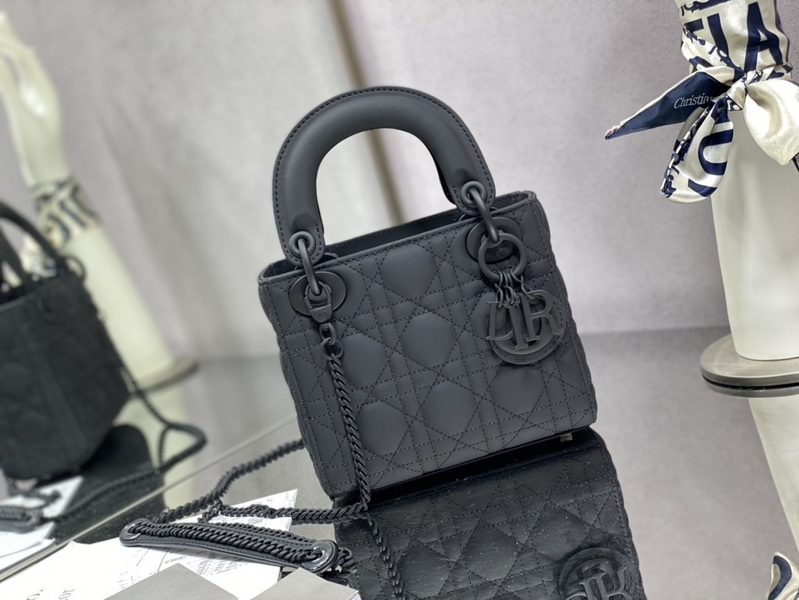 Dior Handbags AAA(Women)-497