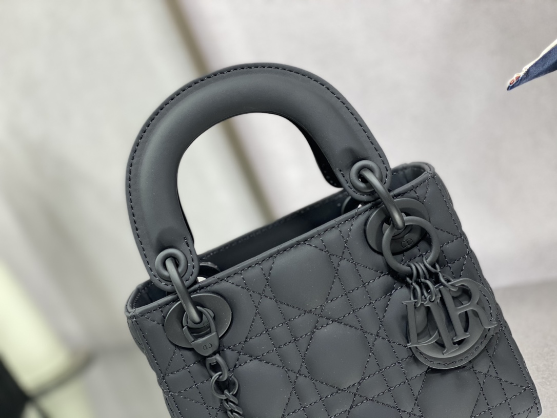 Dior Handbags AAA(Women)-497