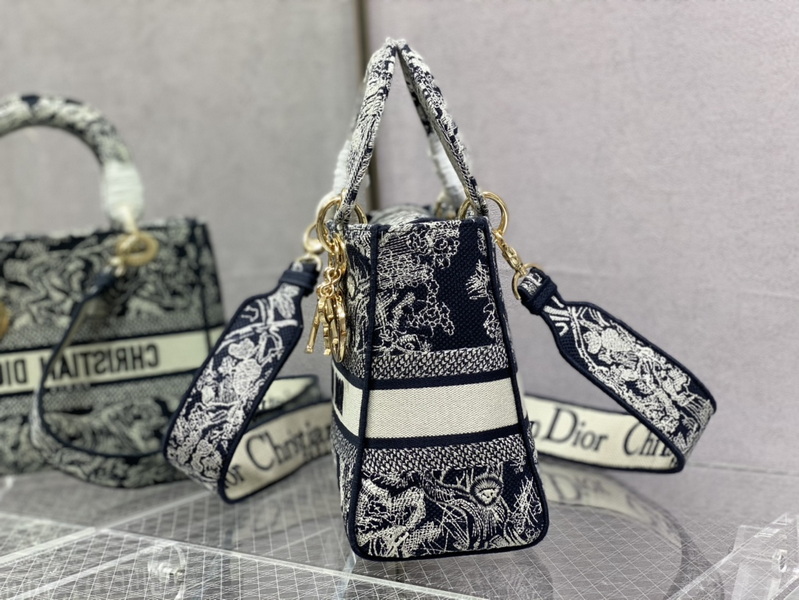 Dior Handbags AAA(Women)-499