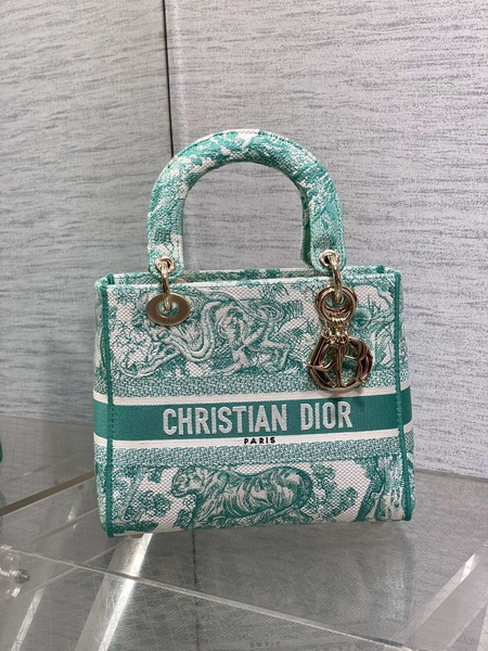 Dior Handbags AAA(Women)-505
