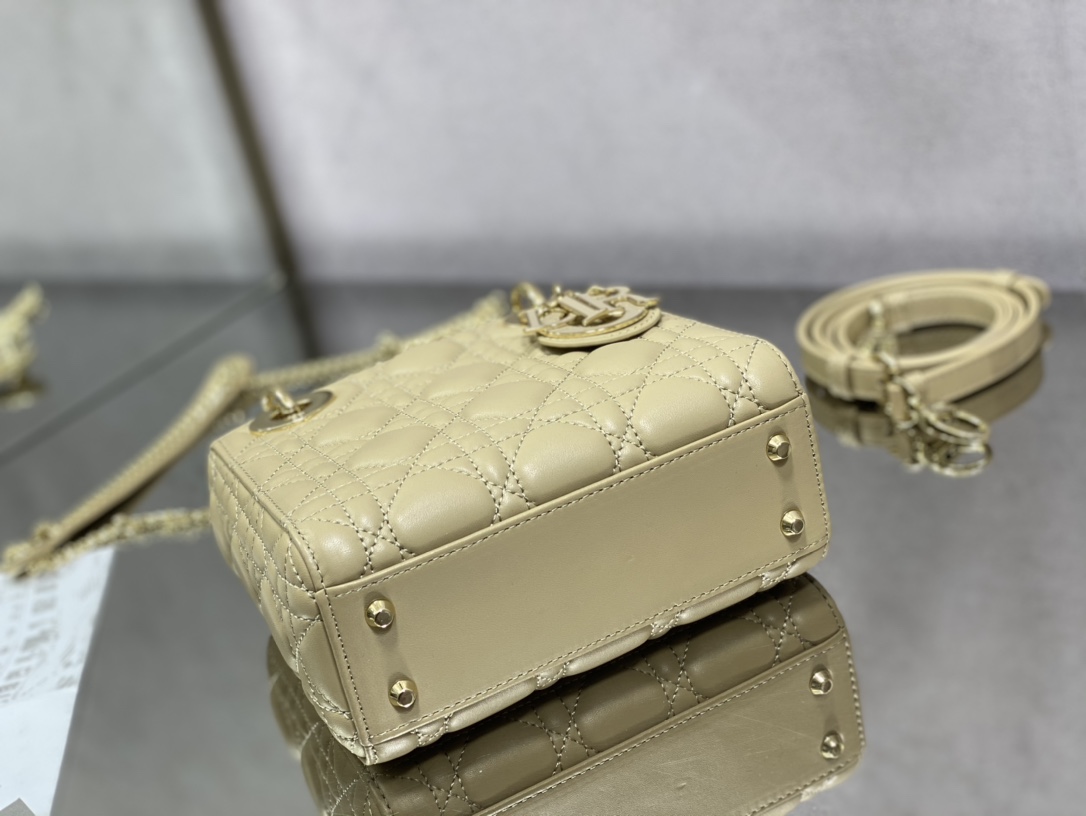 Dior Handbags AAA(Women)-506